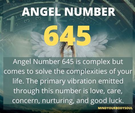 645 angel number meaning